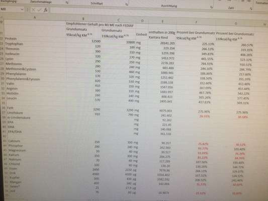 Hochwertiges / Bedarfsgerechtes Nassfutter (ohne Barfen), welches nur?-Beitrag-Bild