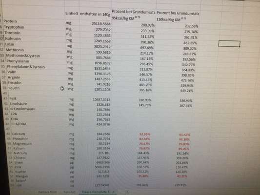 Hochwertiges / Bedarfsgerechtes Nassfutter (ohne Barfen), welches nur?-Beitrag-Bild