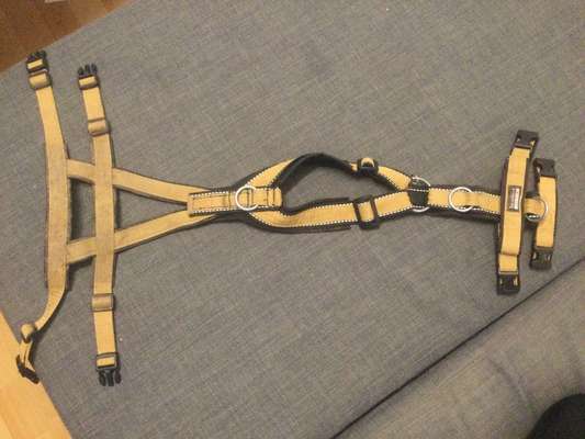 Wie sitzt mein Geschirr?-Beitrag-Bild