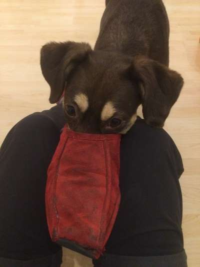 Trick Challange Nr 3-Beitrag-Bild