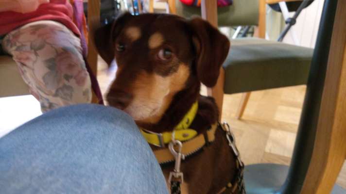 Impulskontrolle Challenge Nr.: 7
         "Gesellschaftsfähig"-Beitrag-Bild