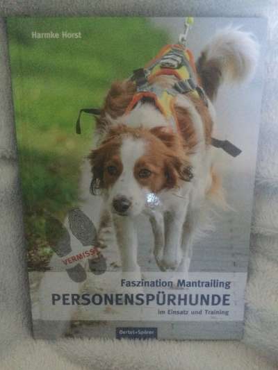 Mantrailing-Beitrag-Bild