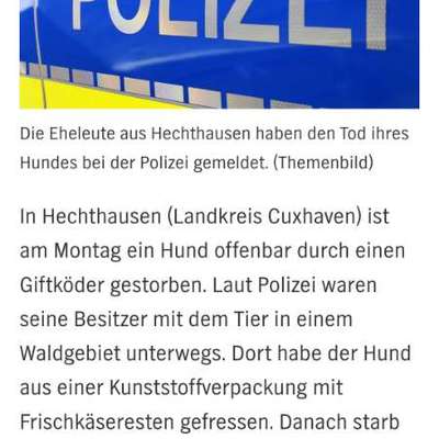 Giftköder-Kunststoffverpackung mit Frischkäsereste – Hund gestorben-Bild