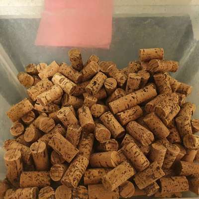 Du weißt, du hast einen Hund wenn...-Beitrag-Bild