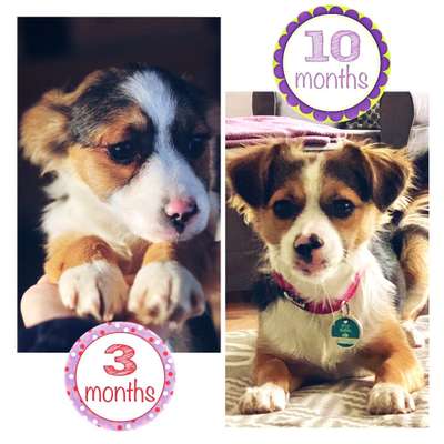 Vorher.... Nachher-Beitrag-Bild