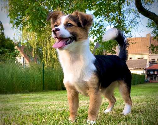 Lieblingsbild :D-Beitrag-Bild