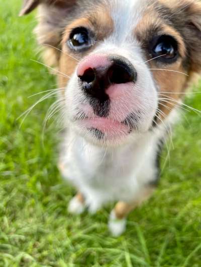 Blick fürs Detail!-Beitrag-Bild