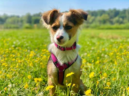 Fotochallange Nr. 57     PORTRÄT.   Beendet!!!!!!!!-Beitrag-Bild