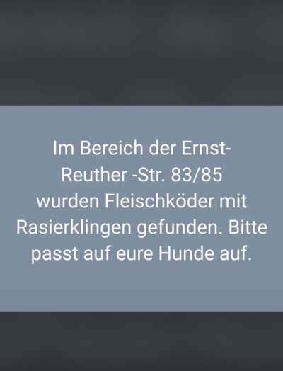 Giftköder-Fleischköder mit Rasierklingen!-Bild