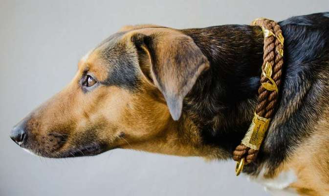 Lieblings Schnappschuss?-Beitrag-Bild