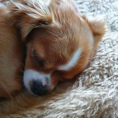 Blick fürs Detail!-Beitrag-Bild