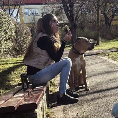 Hundetreffen-Spielerunden und gemeinsames Gassi gehen