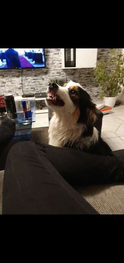 Immer lächeln !-Beitrag-Bild