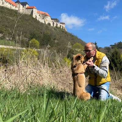 Hundetreffen-Welpen- Junghundetreffen im Blütengrund