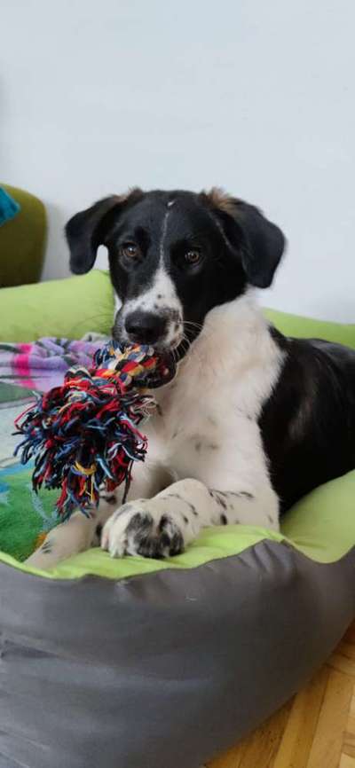 Fotochallange Nr. 57     PORTRÄT.   Beendet!!!!!!!!-Beitrag-Bild