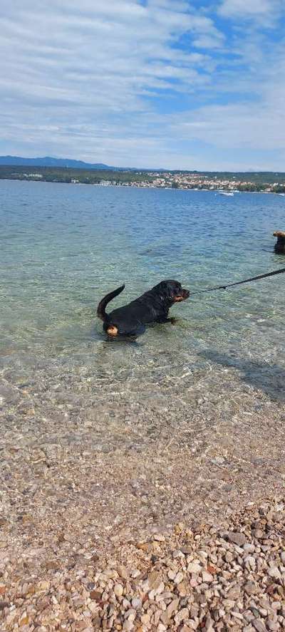 Eure Strandbilder :)-Beitrag-Bild