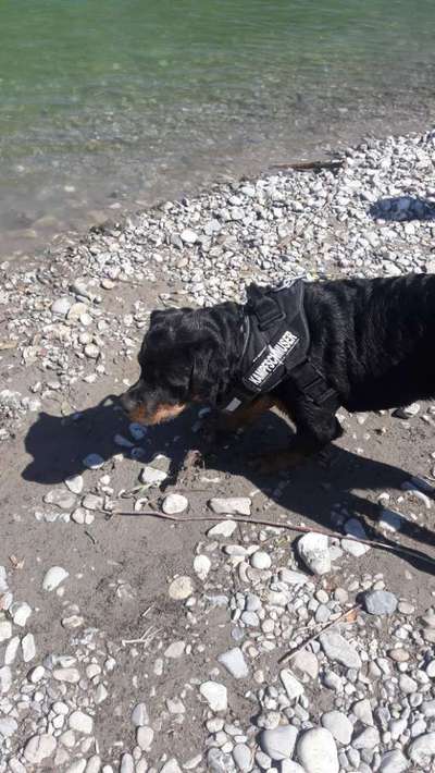 Eure Strandbilder :)-Beitrag-Bild