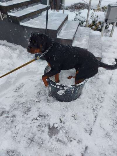 Challenge Nr. 15
Spiel im Schnee-Beitrag-Bild