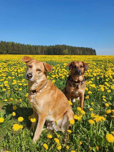 Ideen zur Abkühlung im Sommer-Beitrag-Bild