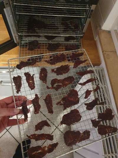 Giradien und Ernährung-Beitrag-Bild