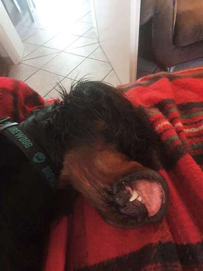 Ratespaß geht weiter-Beitrag-Bild