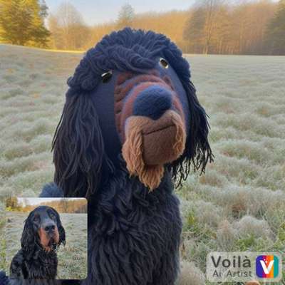 Voila app Bilder-Beitrag-Bild