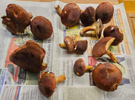 Was hat euch heute gefreut?-Beitrag-Bild