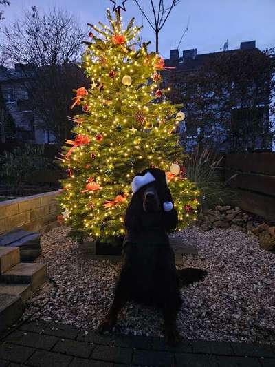 Was hat euch heute gefreut?-Beitrag-Bild