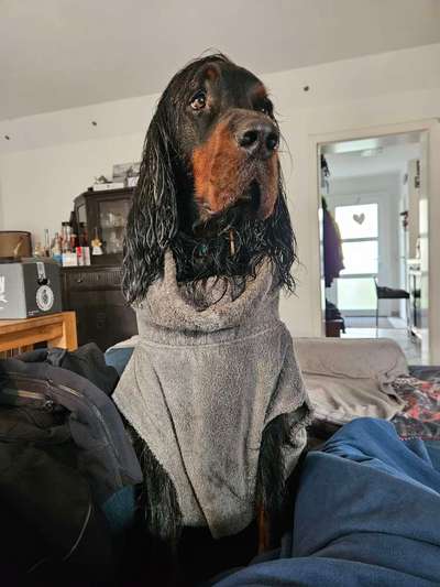 Was hat euch heute gefreut?-Beitrag-Bild