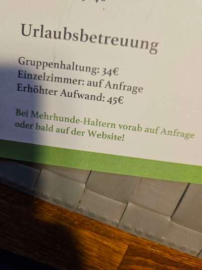 Kosten Hundepension - habt ihr Erfahrungen?-Beitrag-Bild