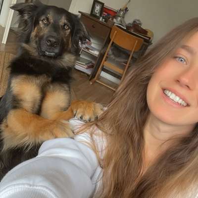 Hundetreffen-Hundebegegnungen gesucht 😊-Profilbild