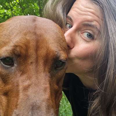 Hundetreffen-Gassi Runde-Profilbild