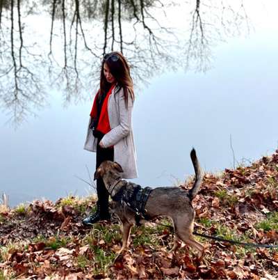Hundetreffen-Gassirunden /Trainingsrunden-Bild