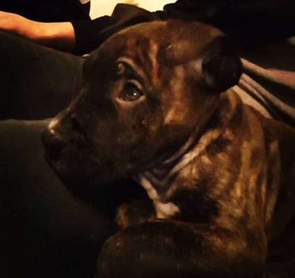 Sie werden so schnell erwachsen ...-Beitrag-Bild