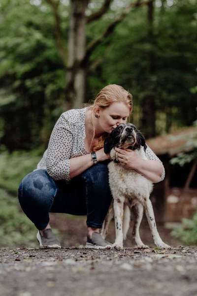 Giftköder-Hundebetreuung-Bild