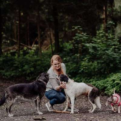 Medizinische Dienstleistungen-HundeTeamWitten-Bild