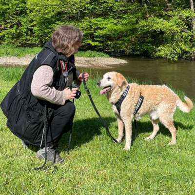 Hundetreffen-Treffen zur Gassirunde .