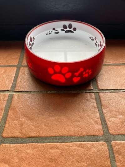 Zeigt her Eure Futternäpfe-Beitrag-Bild