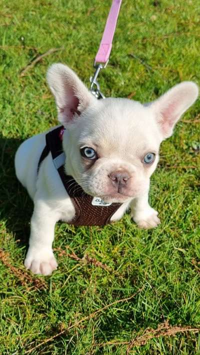 Foto Challenge 82-Beitrag-Bild