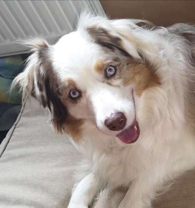 Fotochallange Nr. 57     PORTRÄT.   Beendet!!!!!!!!-Beitrag-Bild