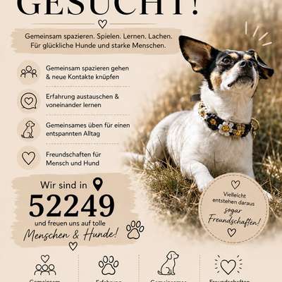 Hundetreffen-Gassi Runde kleine & mittlere Hunde-Bild