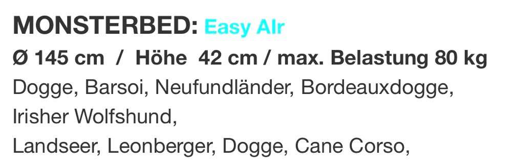 Orthopädisches Hundebett-Beitrag-Bild