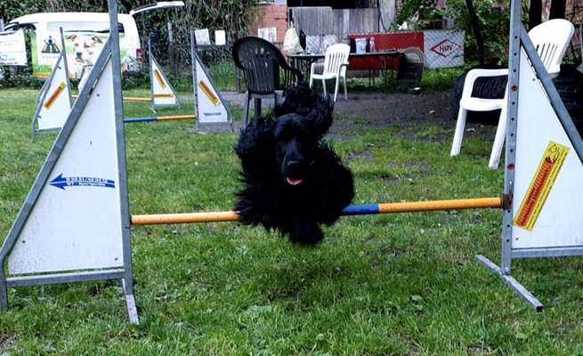 Fotochallenge Nr. 52 „Spring!“-Beitrag-Bild