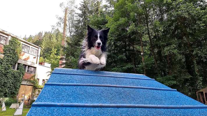 Fotochallenge Nr. 52 „Spring!“-Beitrag-Bild