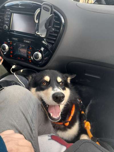 Das beste grinsefoto-Beitrag-Bild