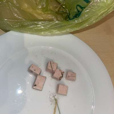 Giftköder-Giftköder-Bild