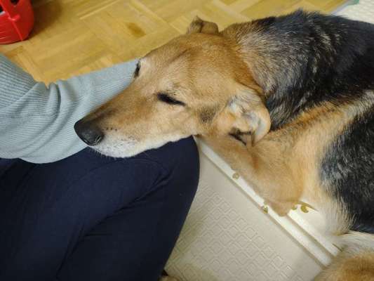 richtiger Zeitpunkt zum gehen lassen-Beitrag-Bild