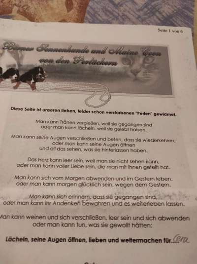 richtiger Zeitpunkt zum gehen lassen-Beitrag-Bild