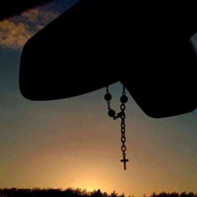 Hundetreffen-Spaziergang mit Hunden am besten gros Hunde aber Welpen liebt sie.-Bild