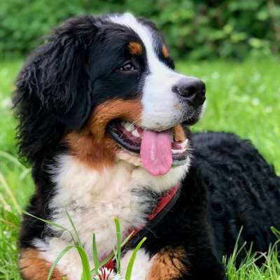 Christine's Profilbild